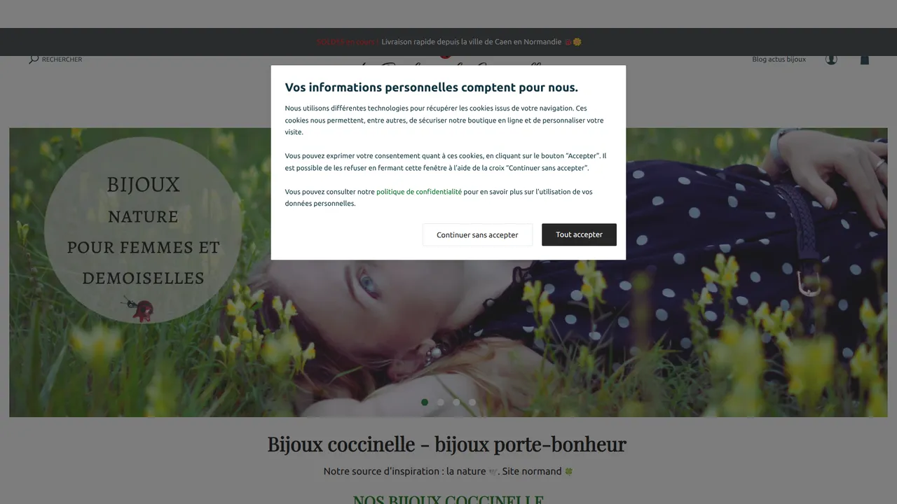 Aperçu du site Bijoux Au Bonheur des Coccinelles