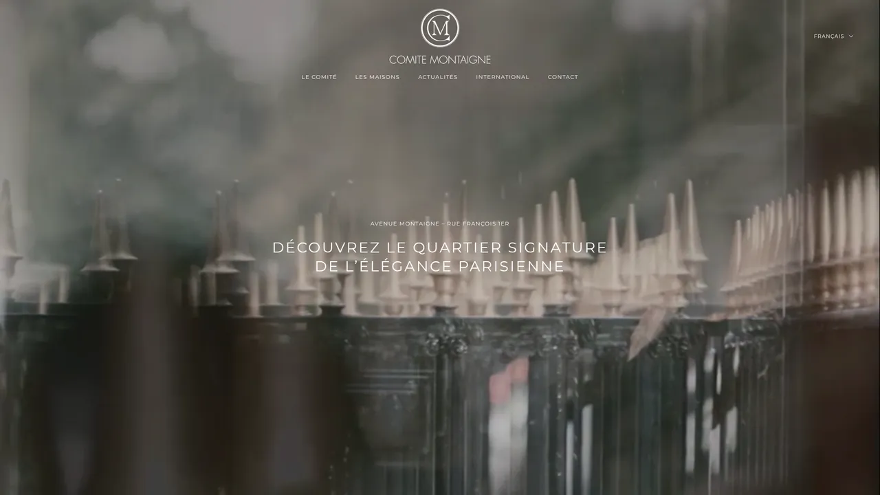 Aperçu du site comitemontaigne.fr