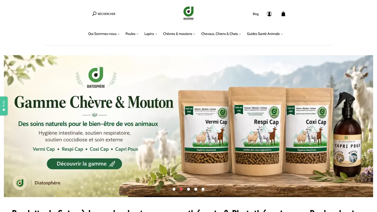 Screenshot de Diatosphère