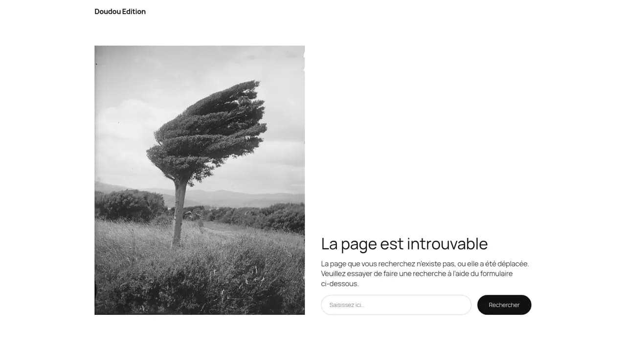 Aperçu du site Doudou édition