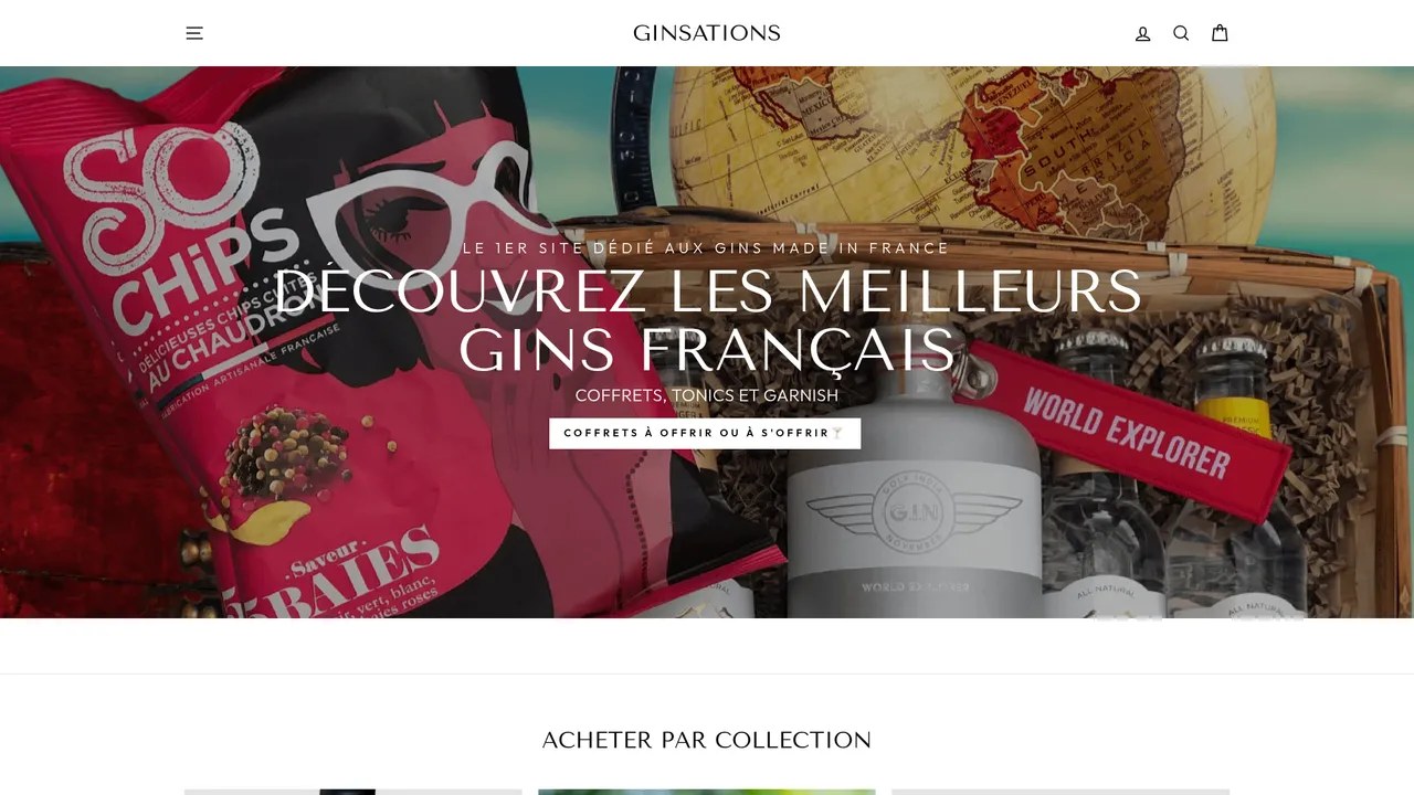 Aperçu du site ginsations.ch