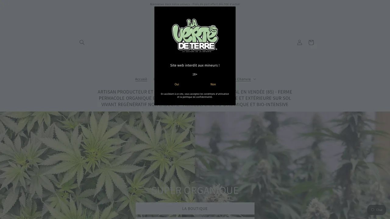 Aperçu du site lavertedeterre.fr