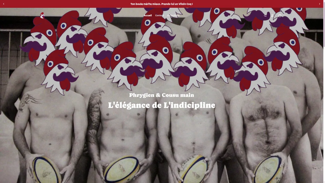 Aperçu du site Vilain Coq
