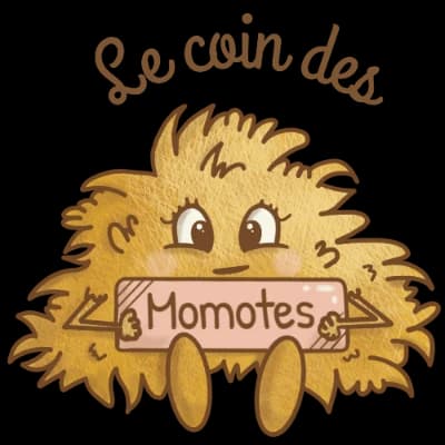 Logo lecoindesmomotes.fr