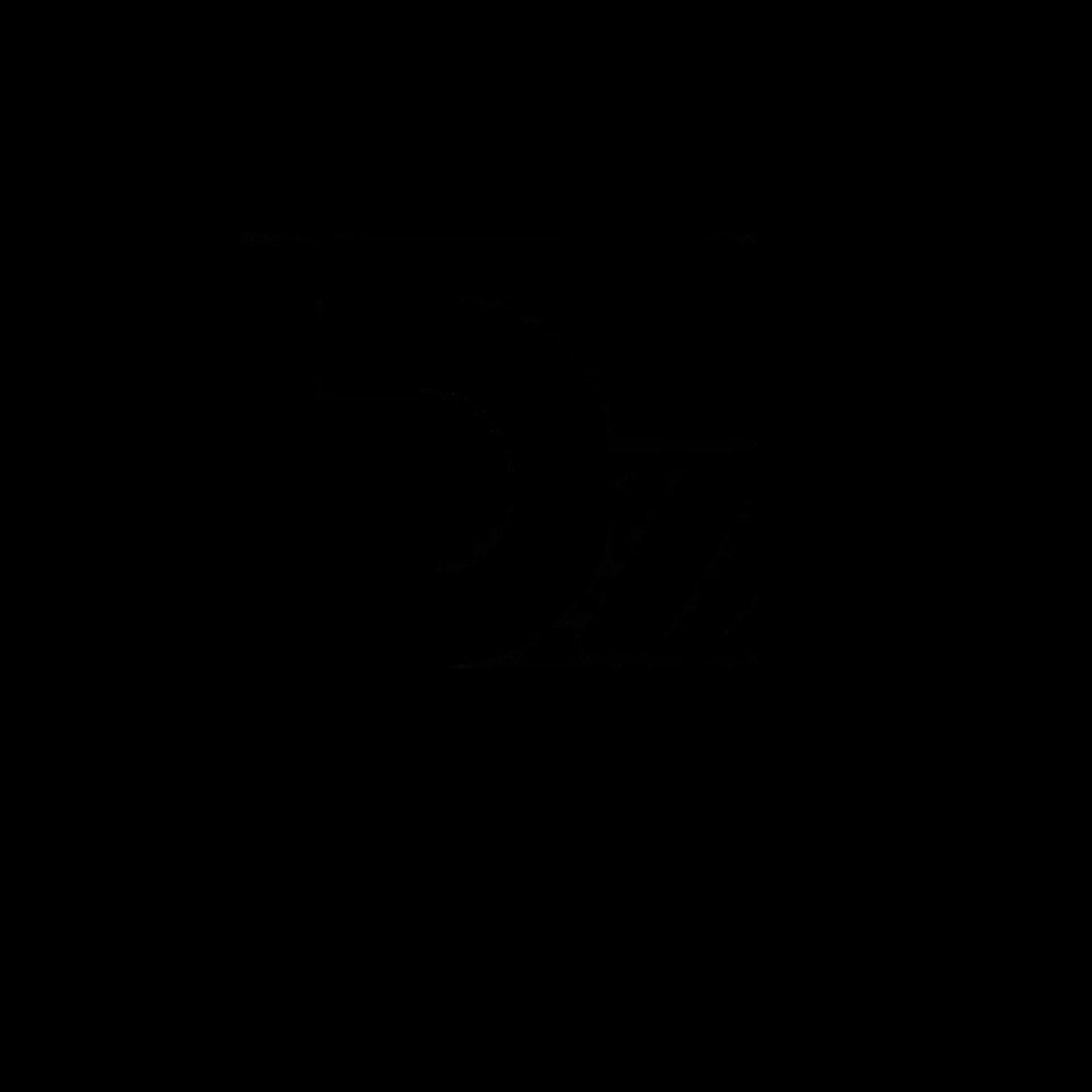 Logo 1DZAIRI213