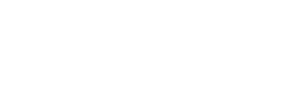 Logo Allstar France
