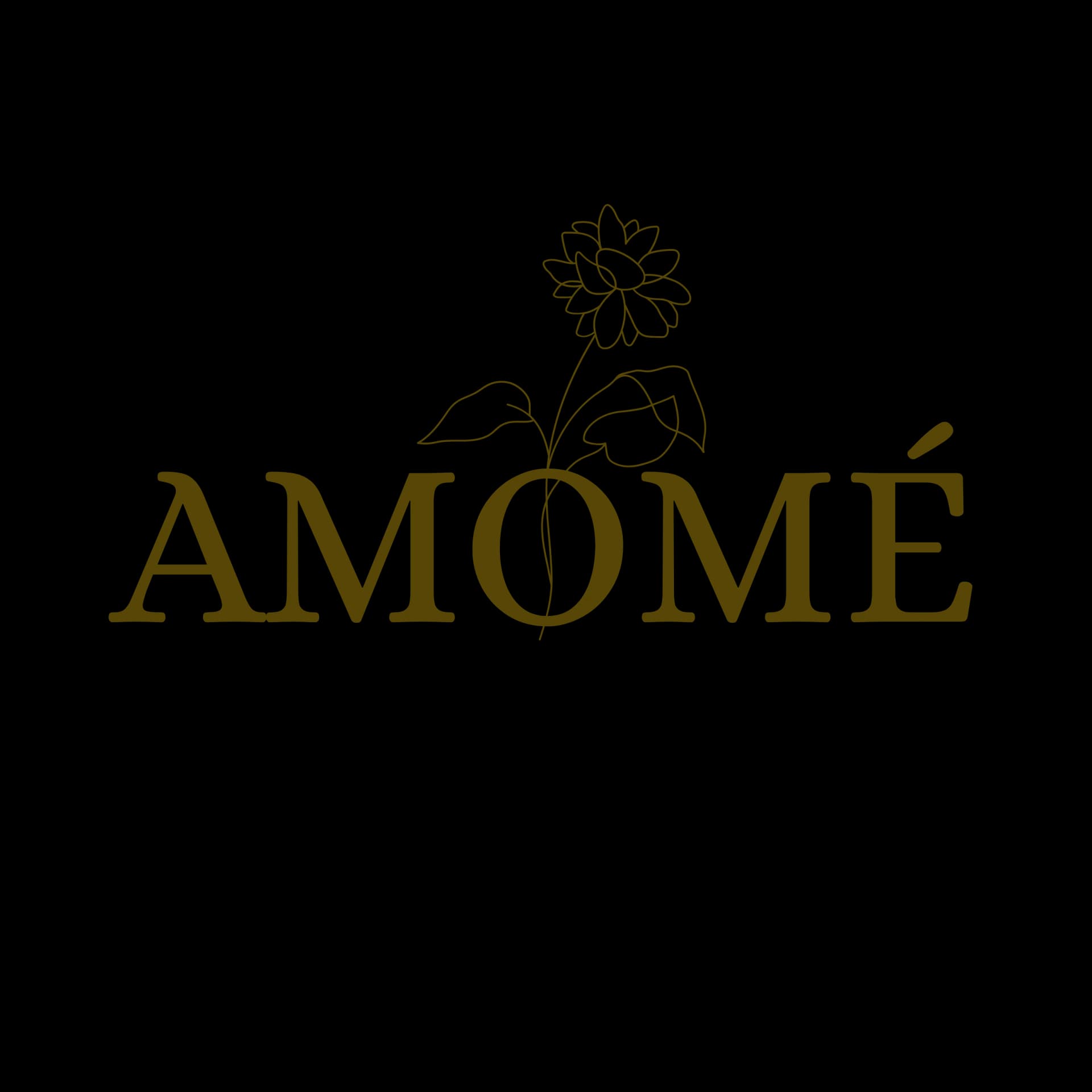 Logo Amomé