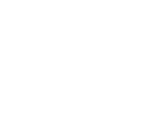 Logo artnstrong