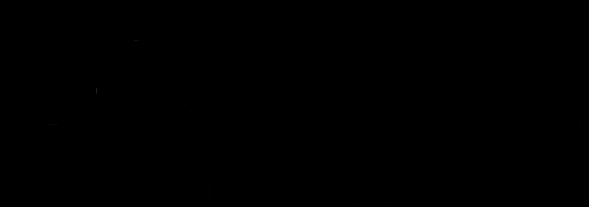 Logo auriclecustomparis.fr
