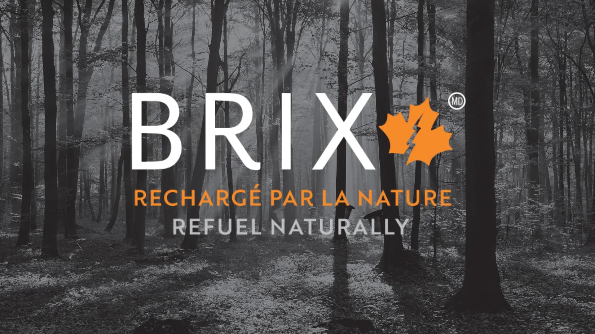 Logo Brix Rechargé par la Nature