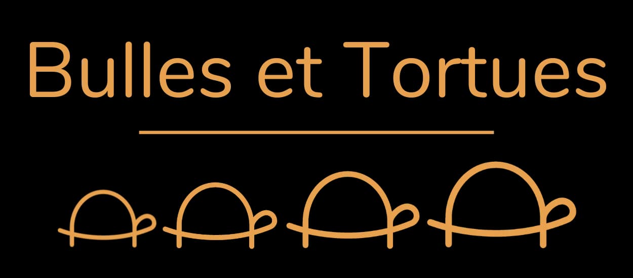 Logo bulles-et-tortues.fr