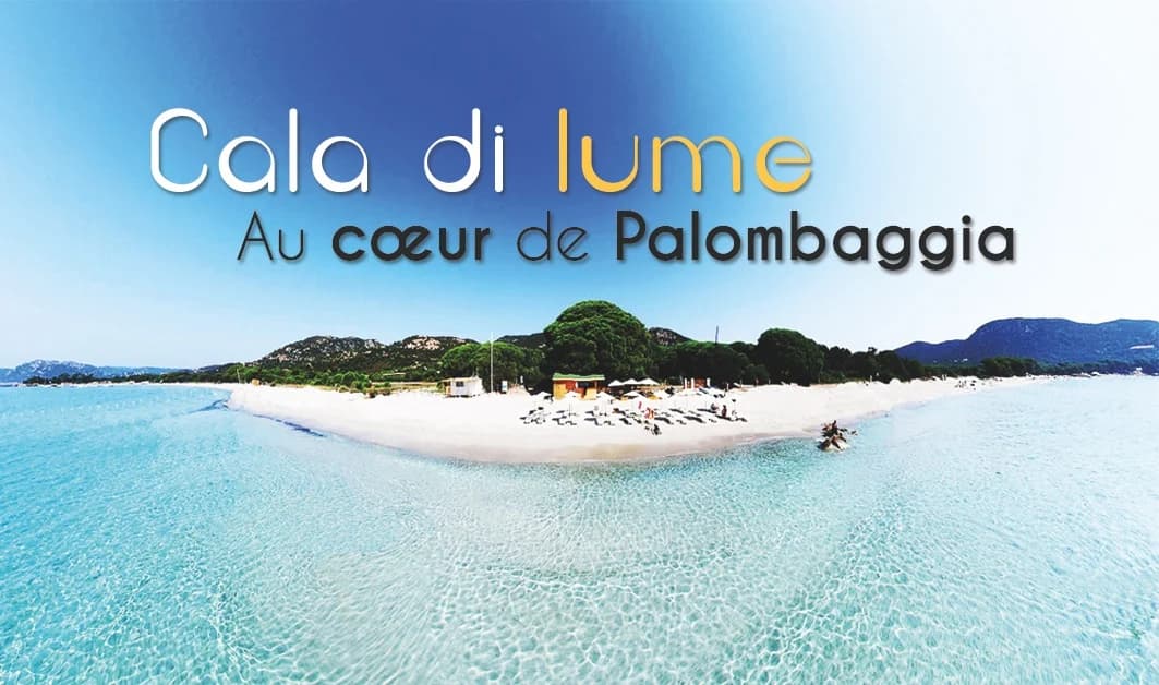 Logo Cala di Lume - Paillote Au Coeur de Palombaggia