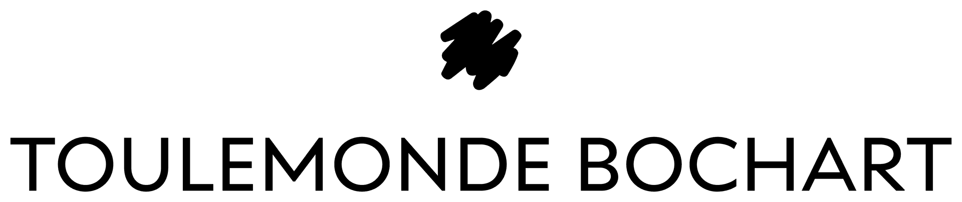 Logo Toulemonde Bochart