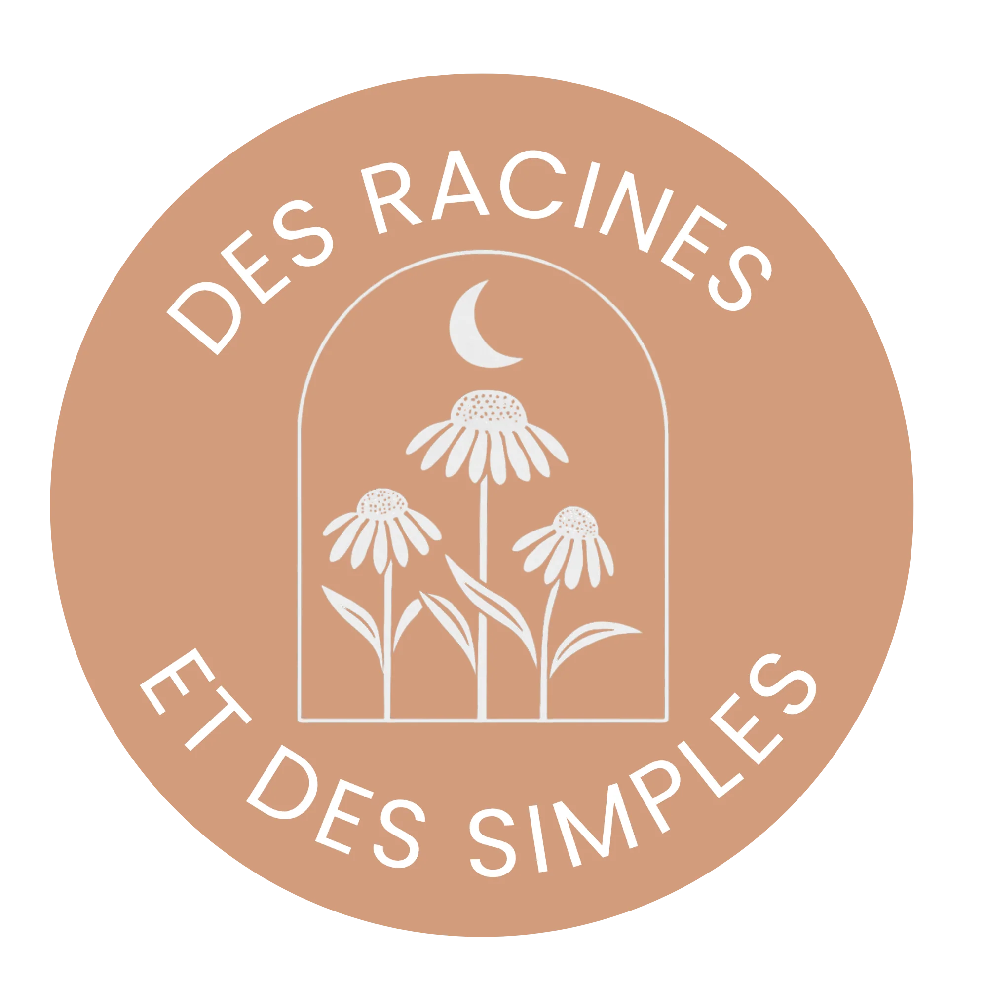 Logo DES RACINES ET DES SIMPLES