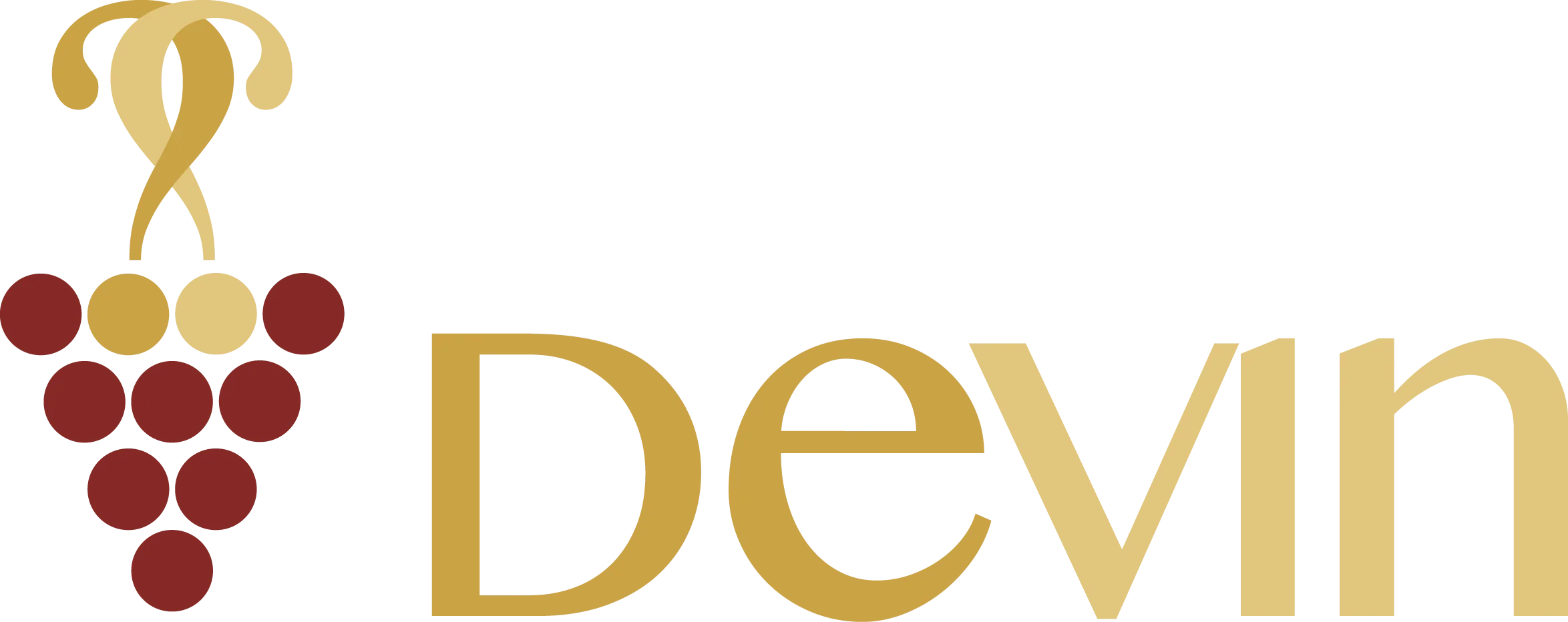 Logo Devin