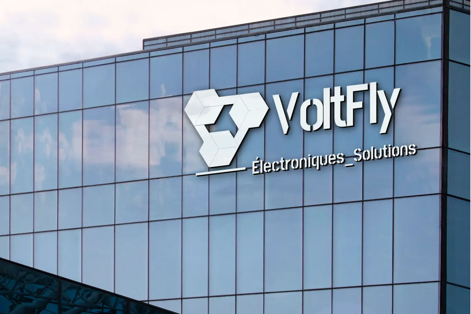 Logo VoltFly