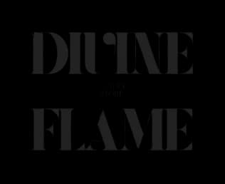 Logo divineflame.myshopify.com