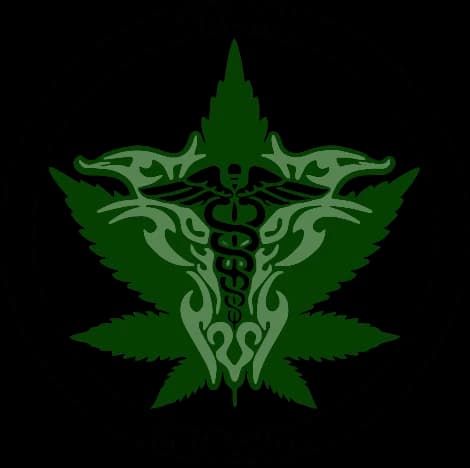 Logo FALMA CBD