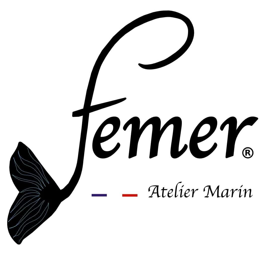 Logo femer.fr