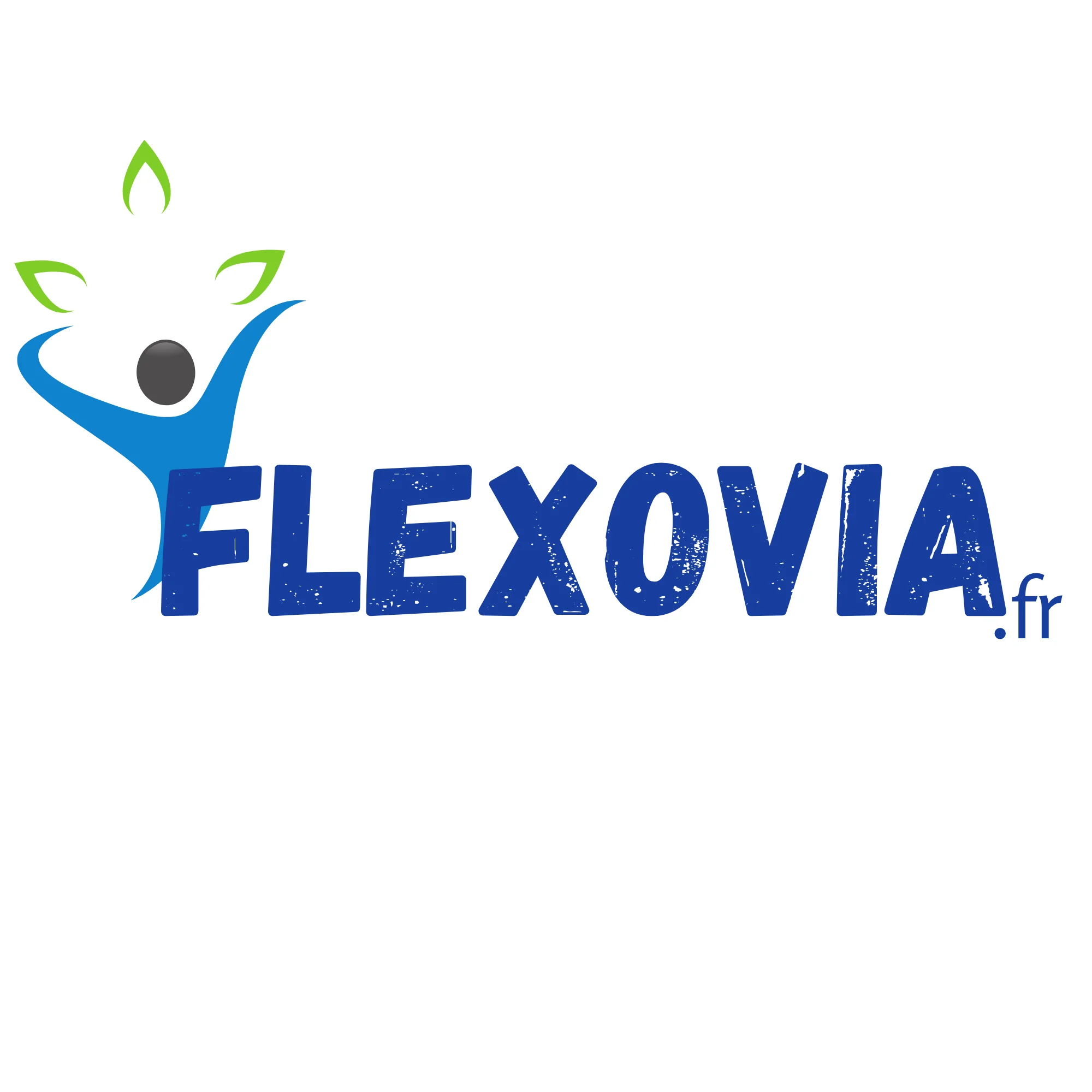 Logo Flexovia™