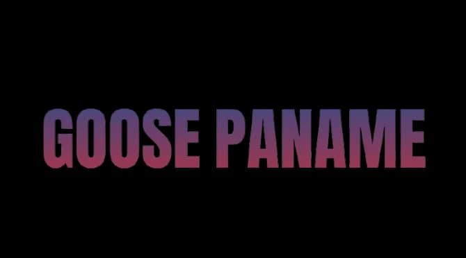 Logo GOOSE PANAME
