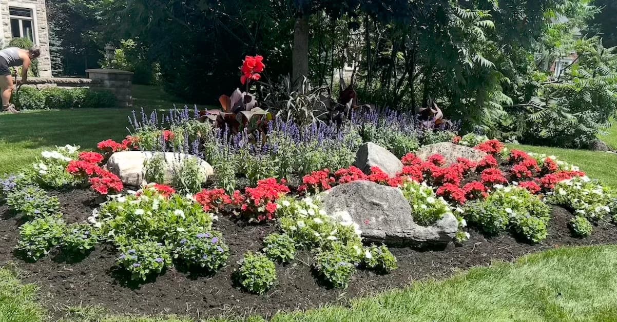 Logo Horticultureo