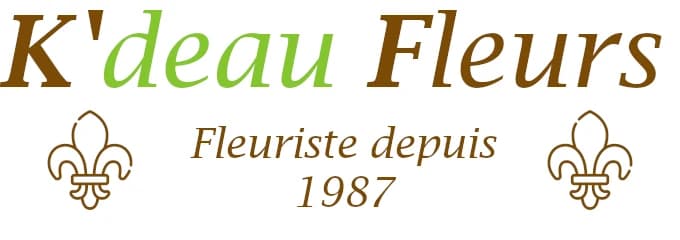 Logo kdeaufleurs.fr