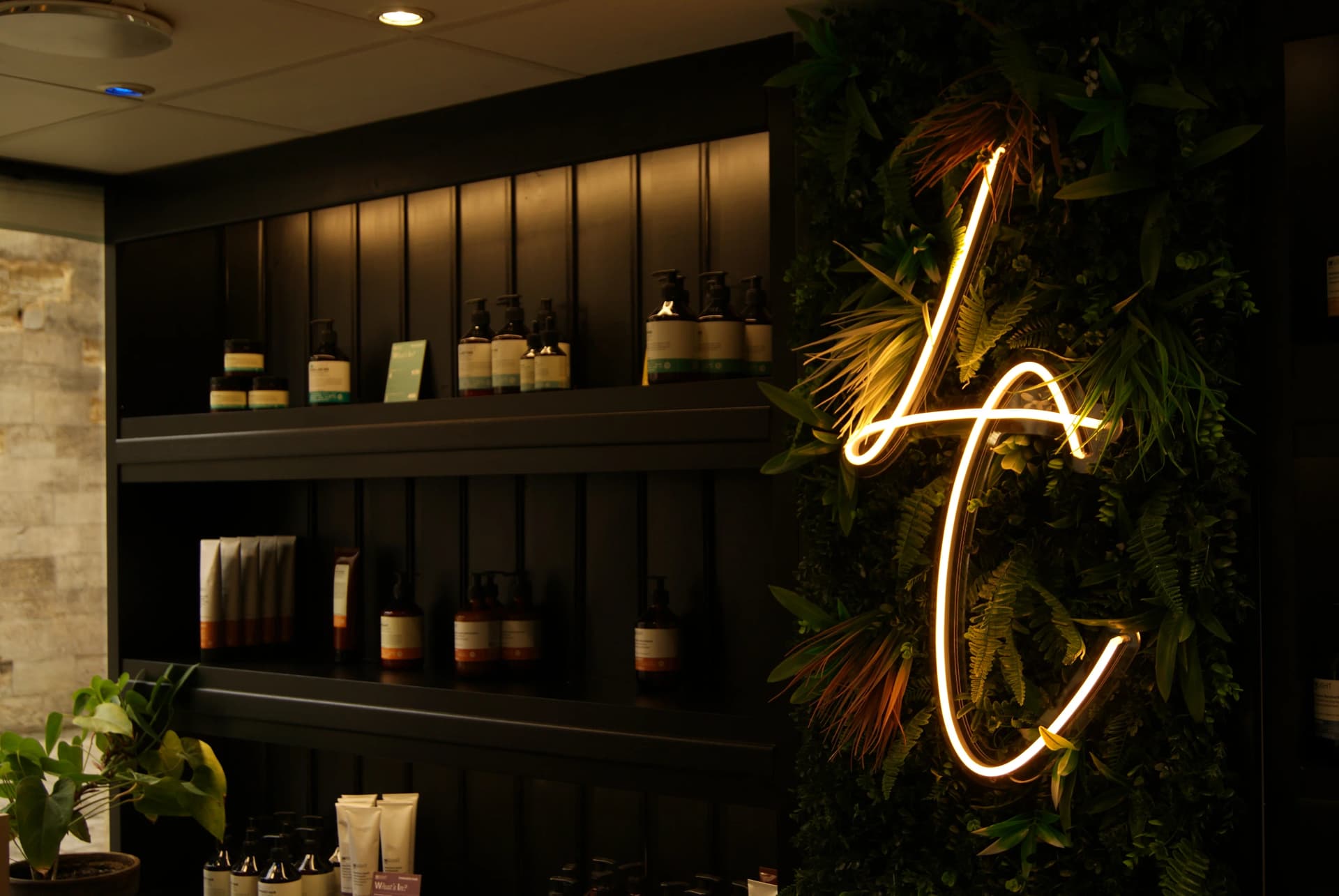 Logo lamarque-chivaley.com