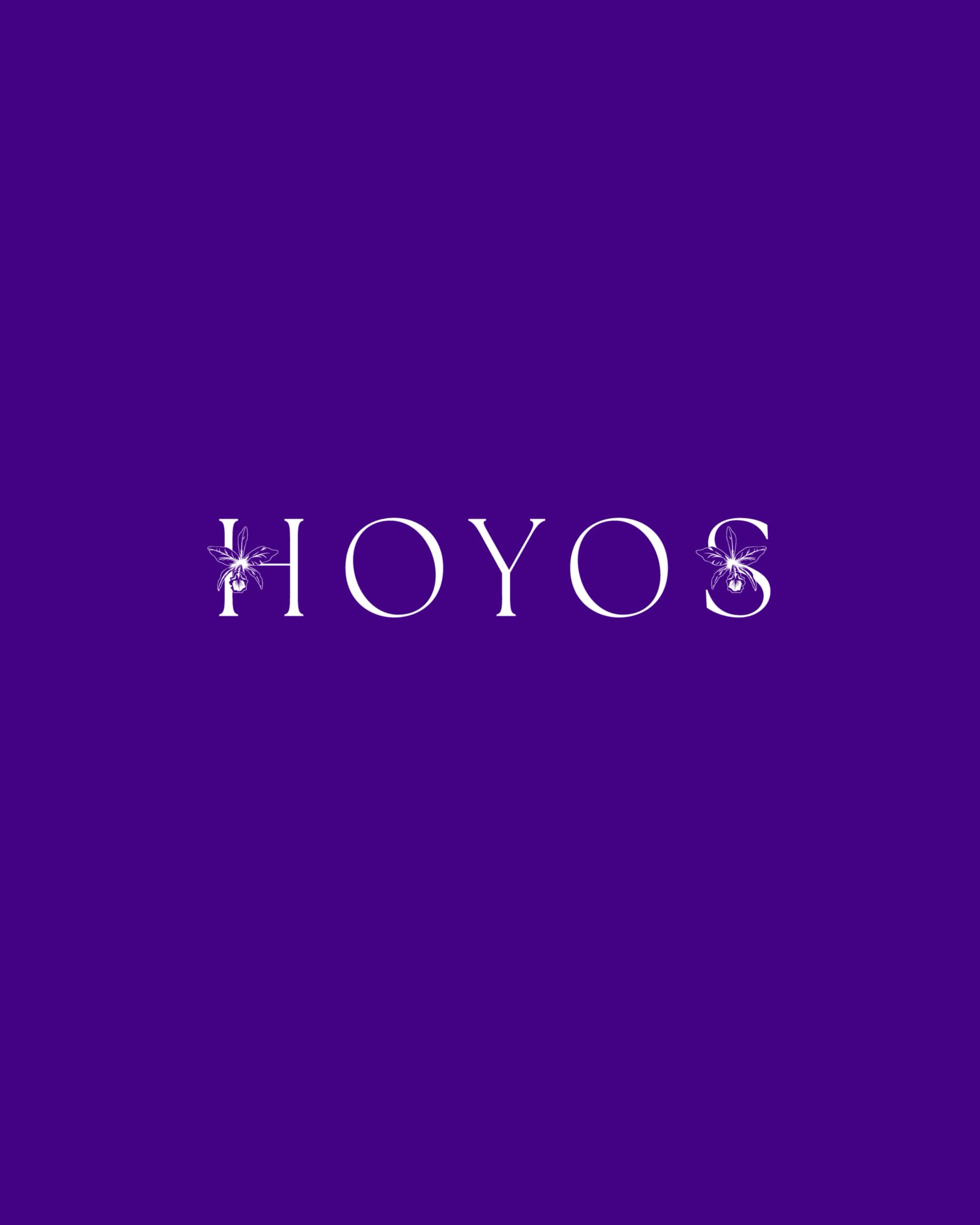 Logo Hoyos