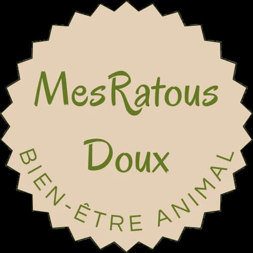 Logo MesRatousDoux