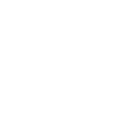 Logo Naïssa