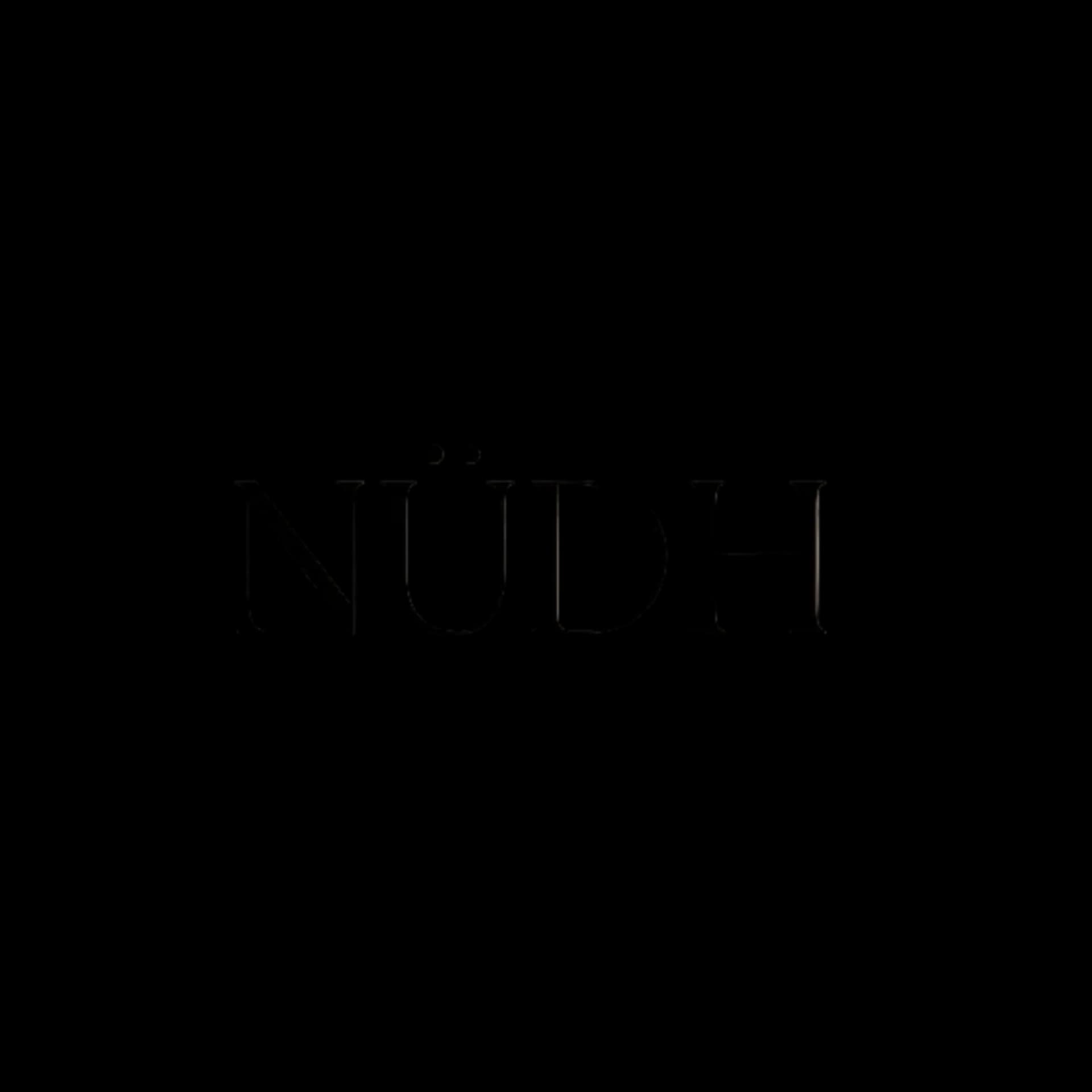 Logo NÜDH