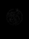 Logo Officieldiamona