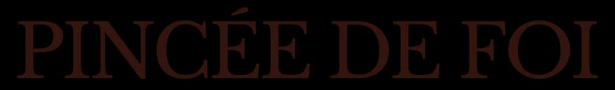 Logo pinceedefoi.com