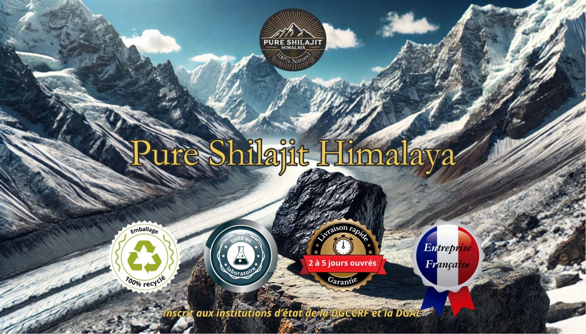 Logo Pure Shilajit Himalaya