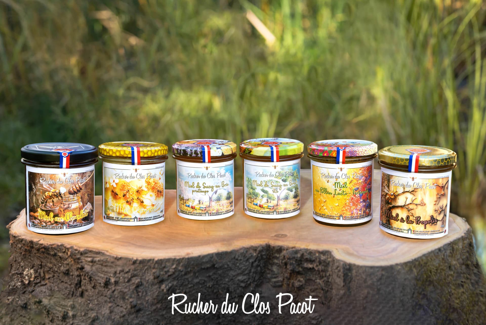 Logo Le Rucher du Clos Pacot - Miel Produits de la ruche & Essaims Reines