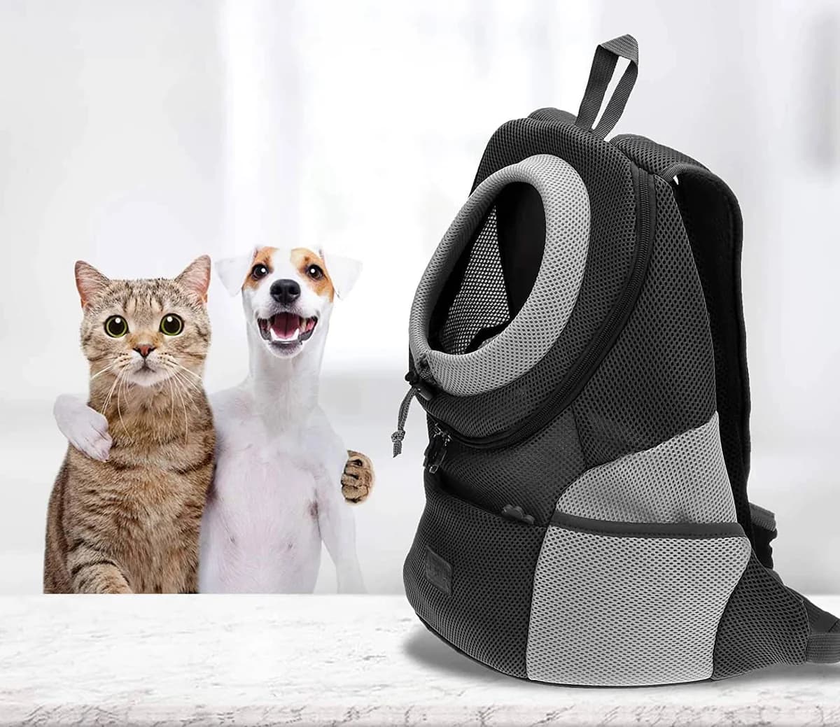 Logo Sac Chien & Chat