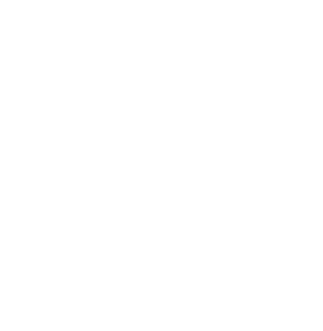 Logo sagithebrand.com