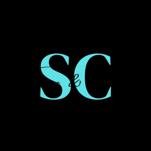 Logo Shine & Chic