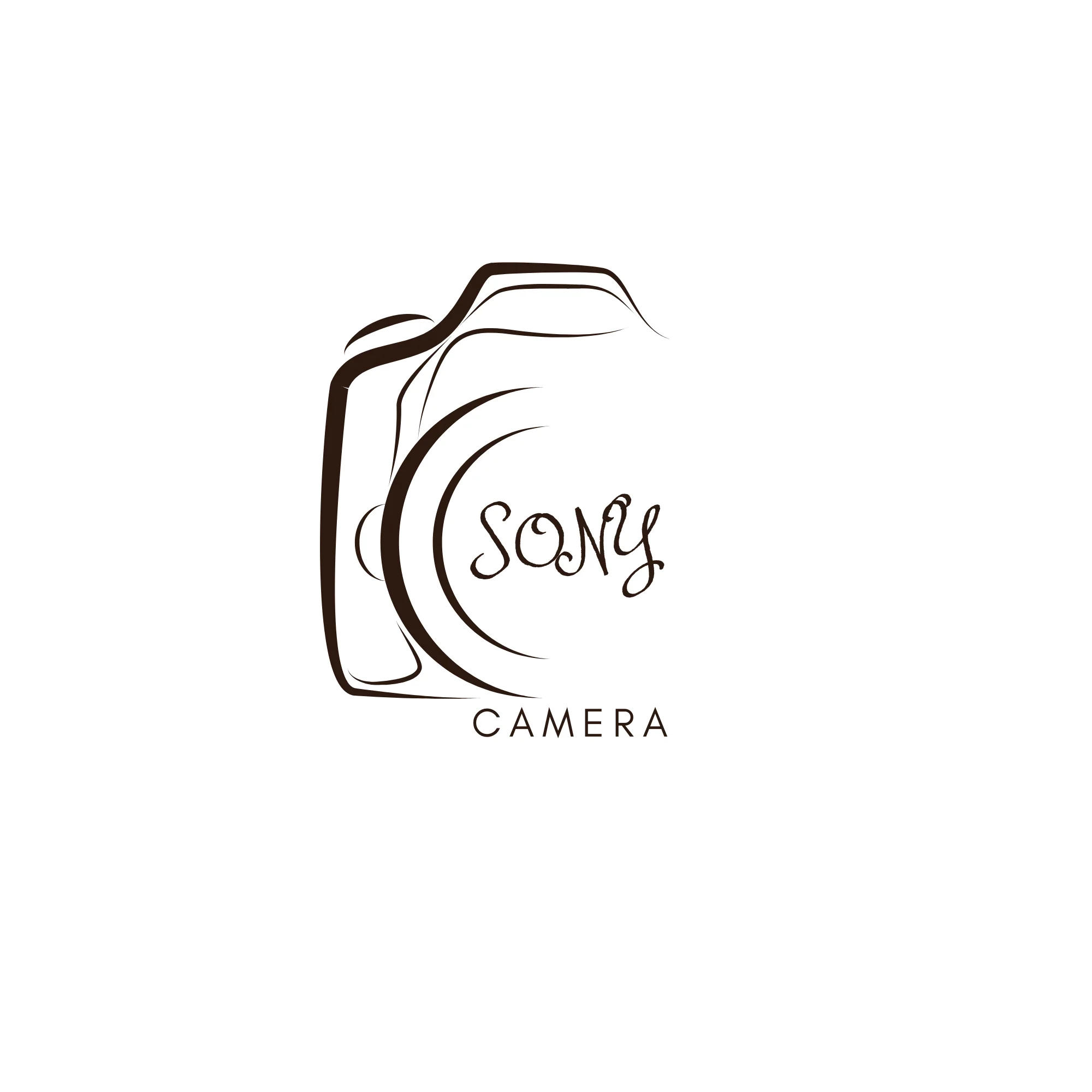 Logo Sony Camera