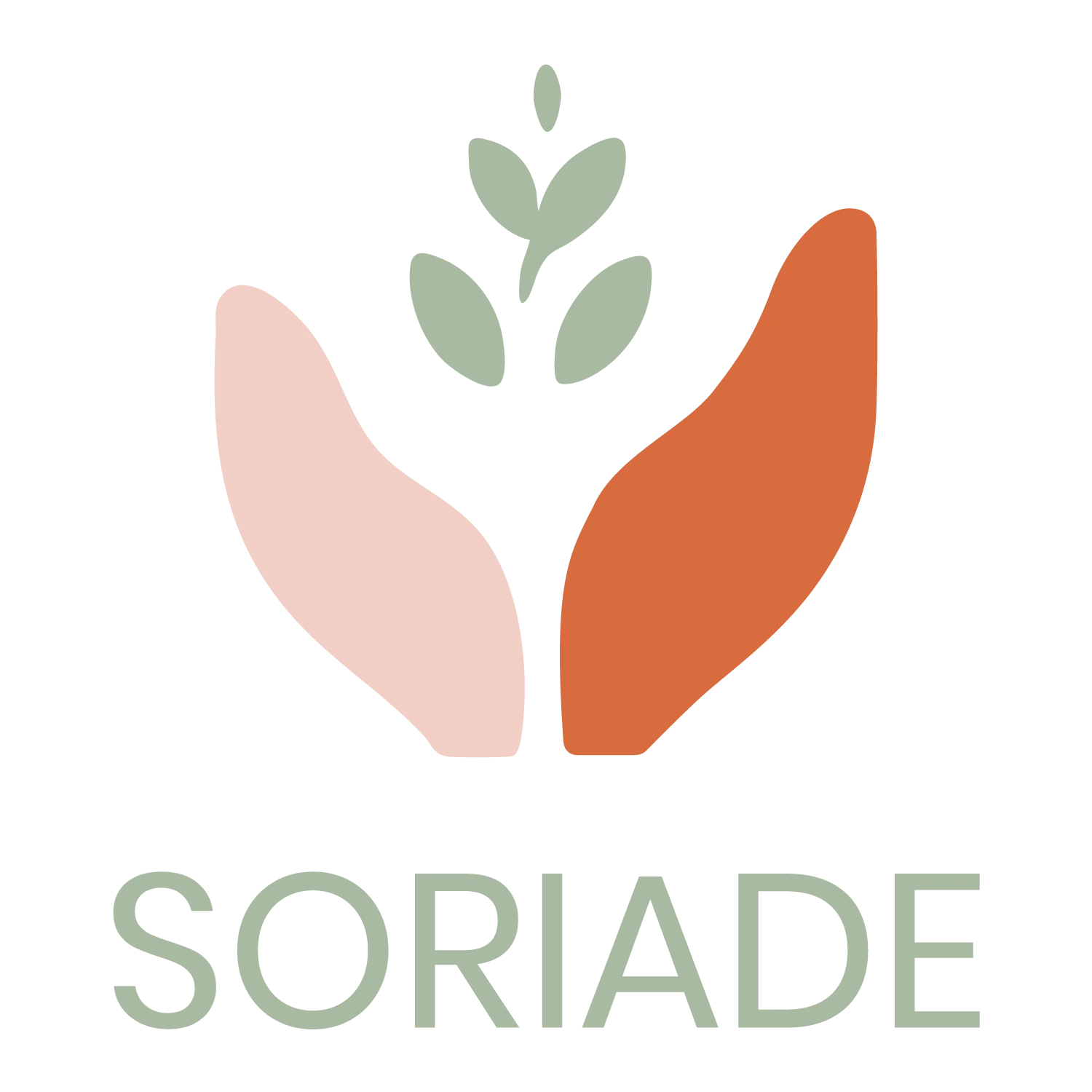 Logo Soriade