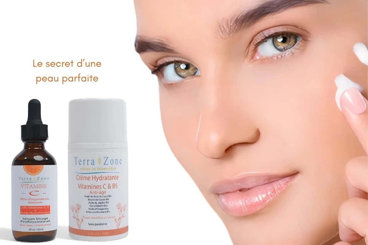 Logo terrazone.fr