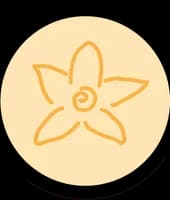 Logo Vanilla Sky