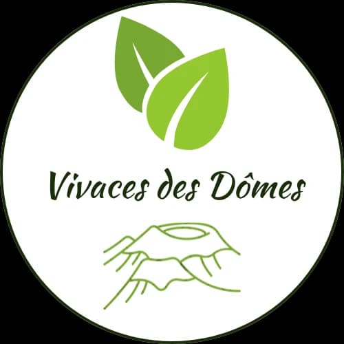 Logo www.vivacesdesdomes.fr
