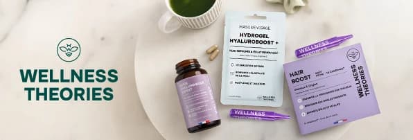 Logo Wellness Theories