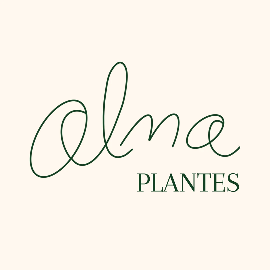 Logo Alma Plantes
