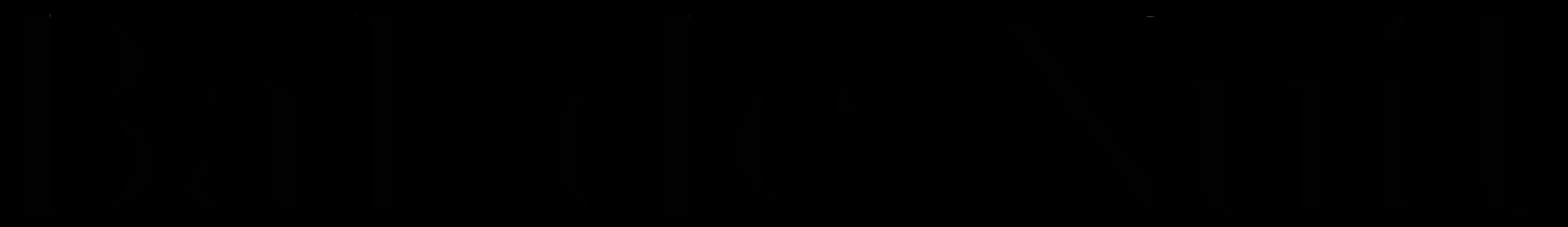 Logo Bal de Nuit