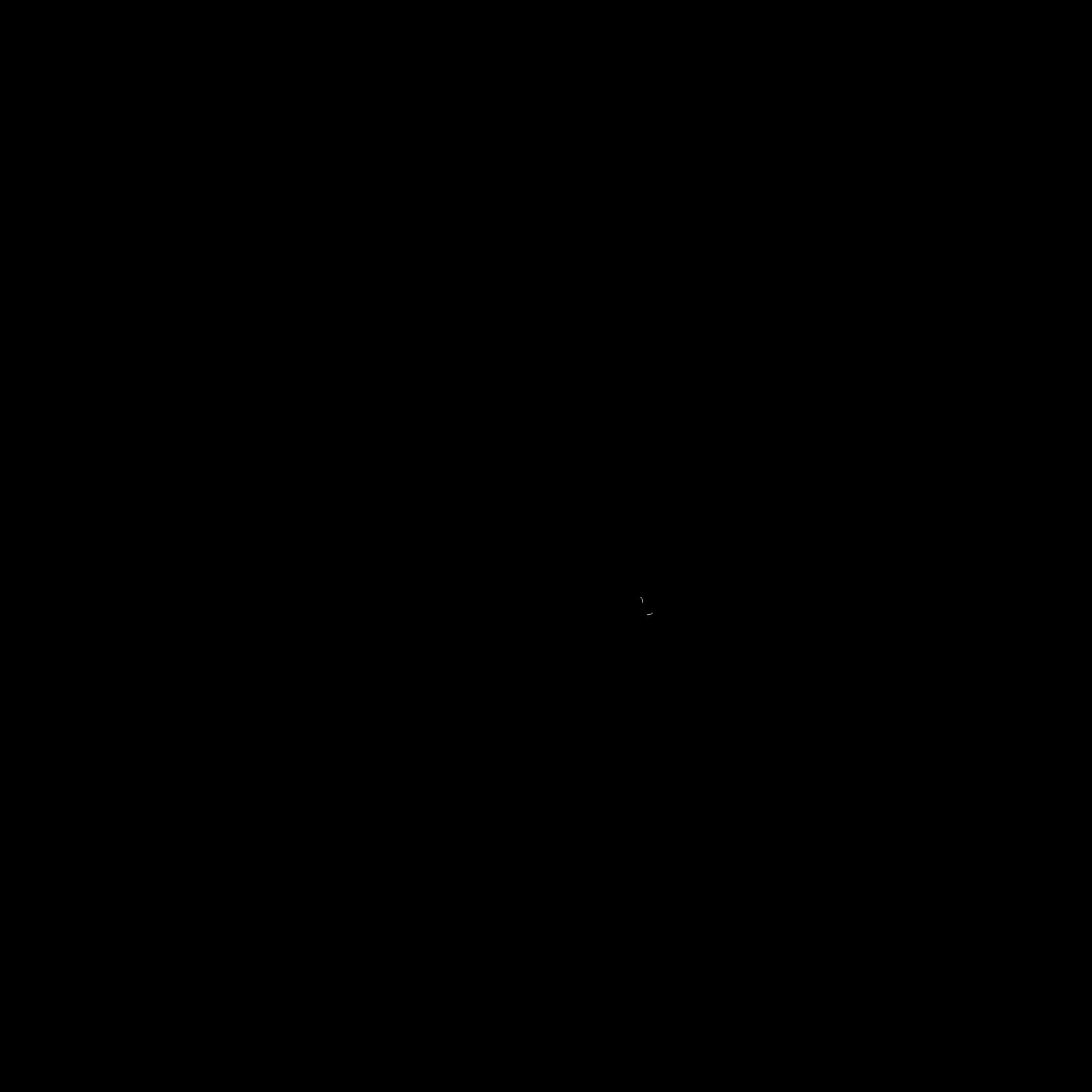 Logo HEPHTSIBA Diary