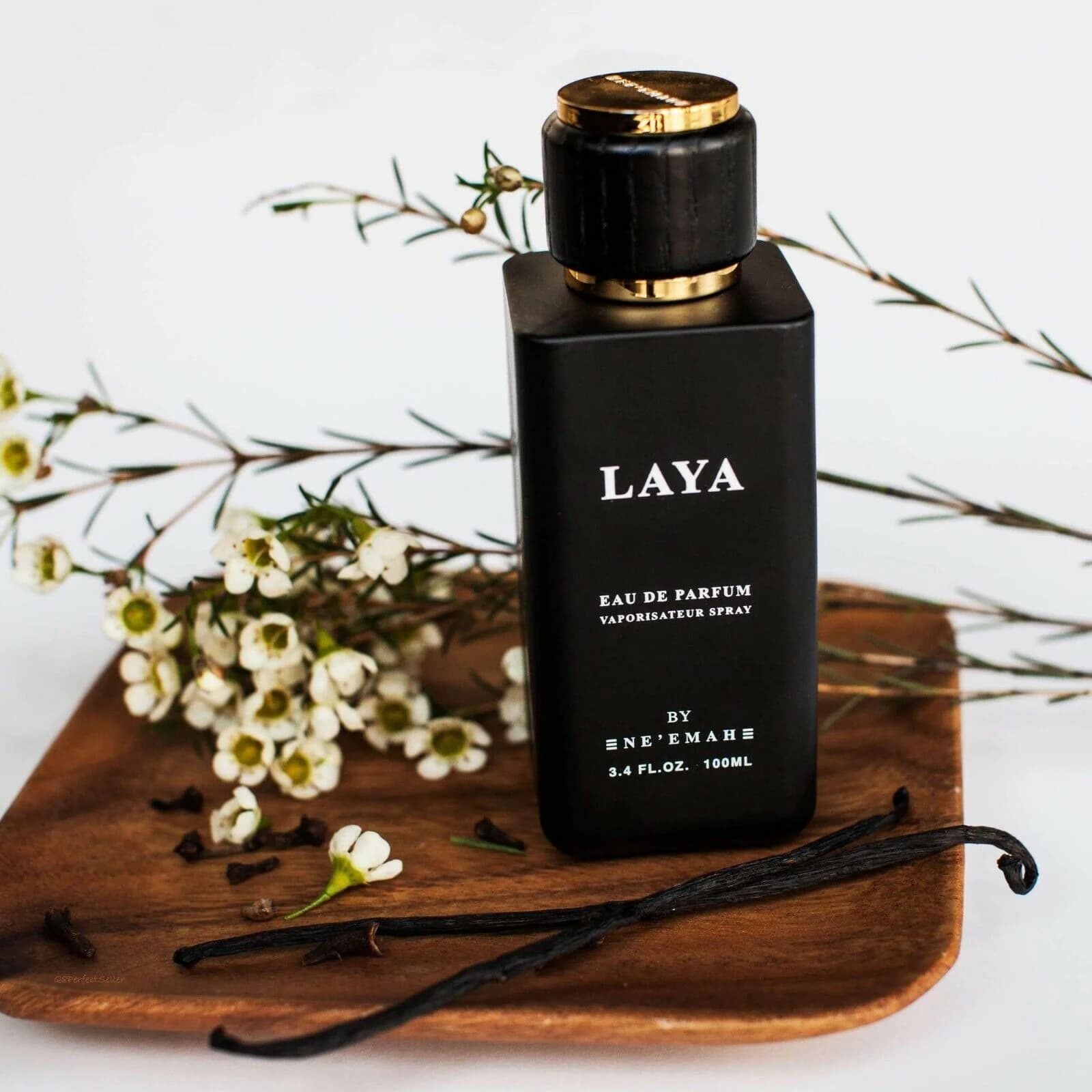 Logo LAYA