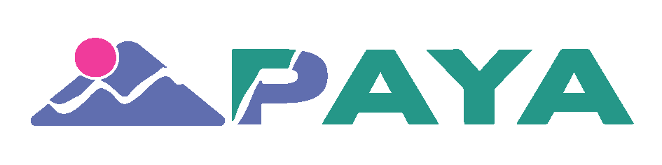 Logo PAYA & be unique.